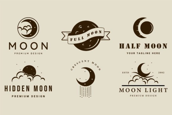 Set of Moon or Lunar Logo Vintage Vector Graphics